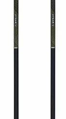 Swix Dynamic D3 Cross-Country Ski Poles